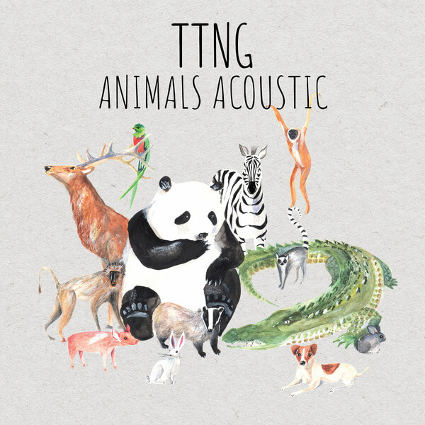 Ttng - Animals Acoustic - CD