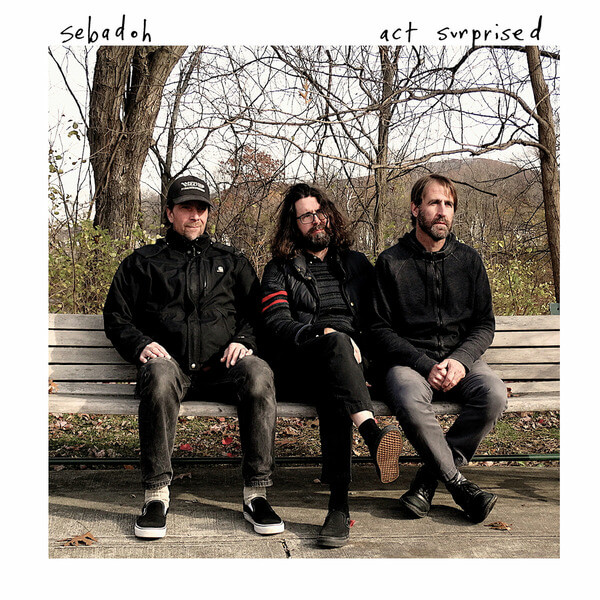 Sebadoh - Act Surprised - LP