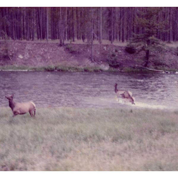 Seahaven - Ghost + Acoustic Sessions - LP