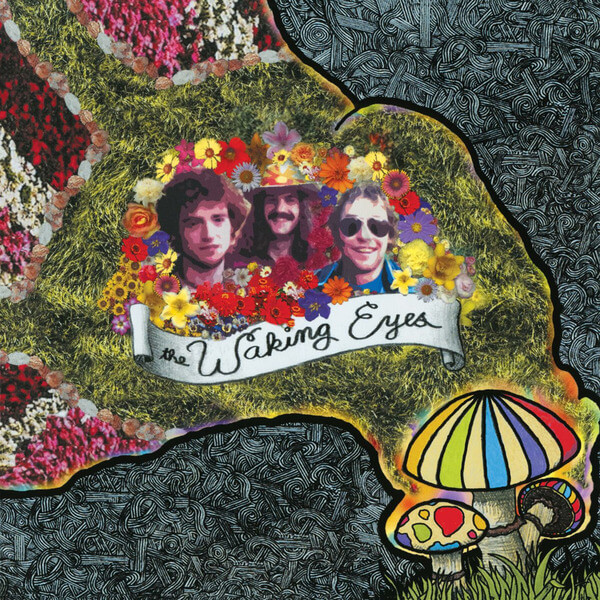 The Waking Eyes - Combing The Cloud - LP