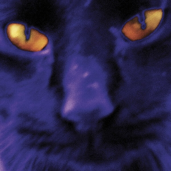 David Kilgour and the Heavy Eights - Bobbie's a girl - LP