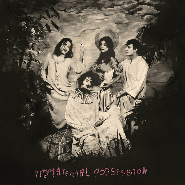 Immaterial Possession - Immaterial Possession - LP