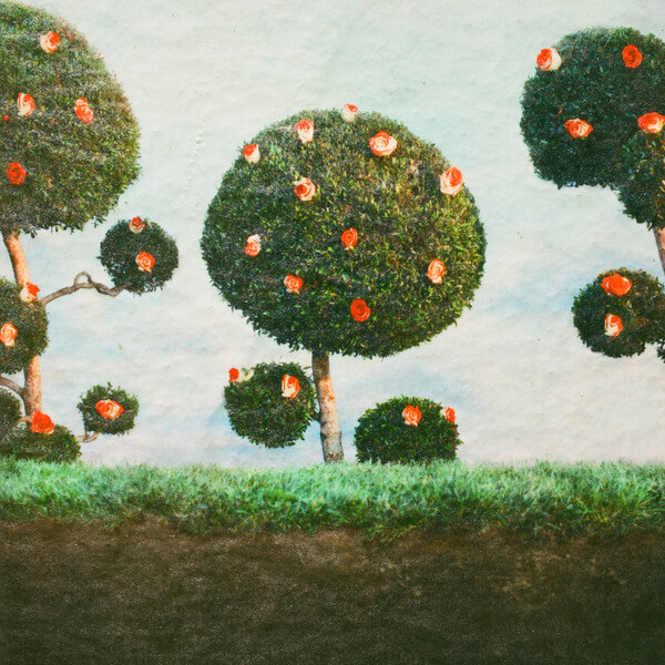 Midnight Sister - Painting the Roses - LP