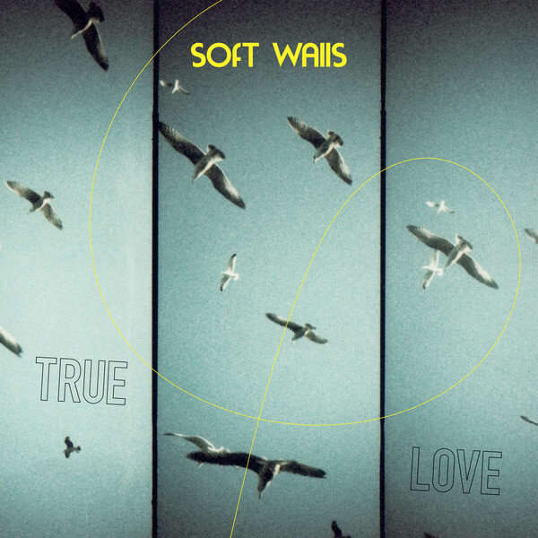 Soft Walls - True Love - LP