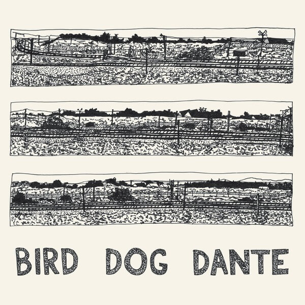 John Parish - Bird Dog Dante - LP