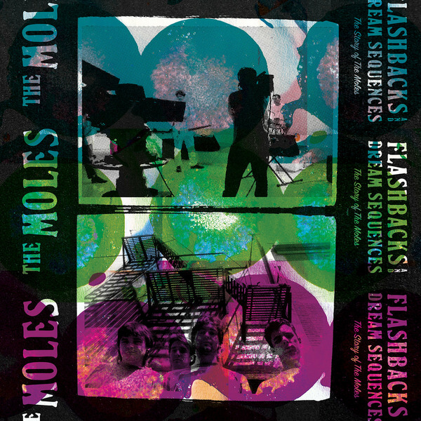 The Moles - Flashbacks and Dream Sequences: The Story of The Moles - 2LP