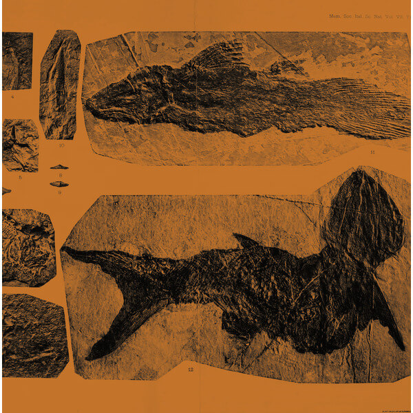 Annelies Monsere - Mares - LP