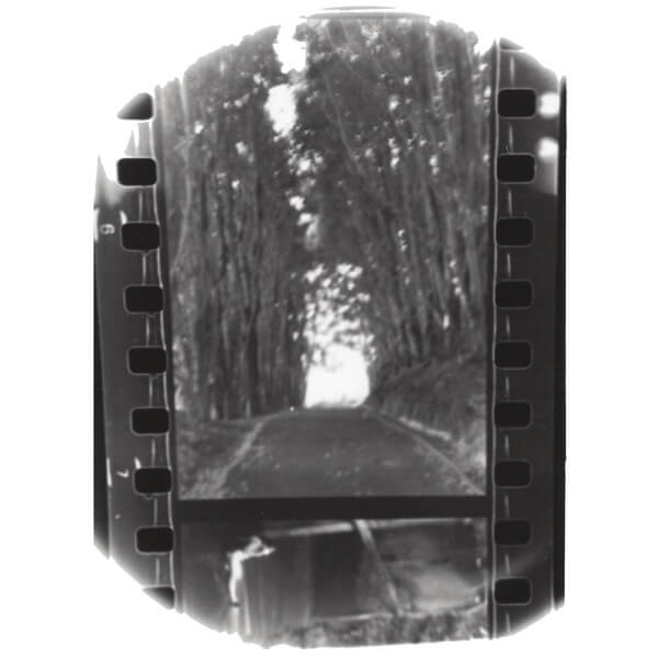 Seahaven - Winter Forever - LP