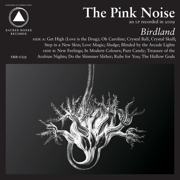 The Pink Noise - Birdland - LP