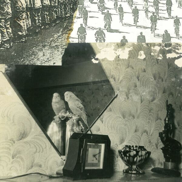 Swell Maps - Mayday Signals - CD