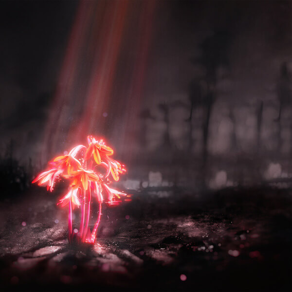 Enter Shikari - A Kiss For The Whole World - LP