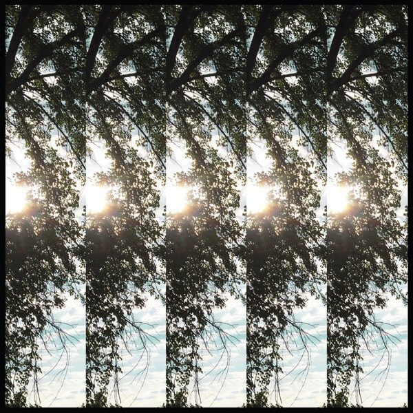 Pontiak - Dialectic Of Ignorance - LP