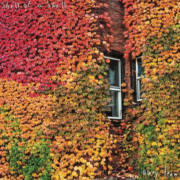 Shell of a Shell - Away Team - LP