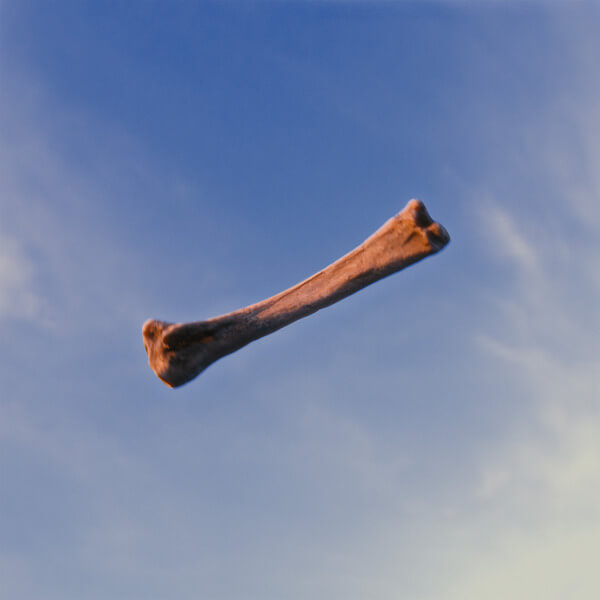 Albert Newton - Twin Earth - LP