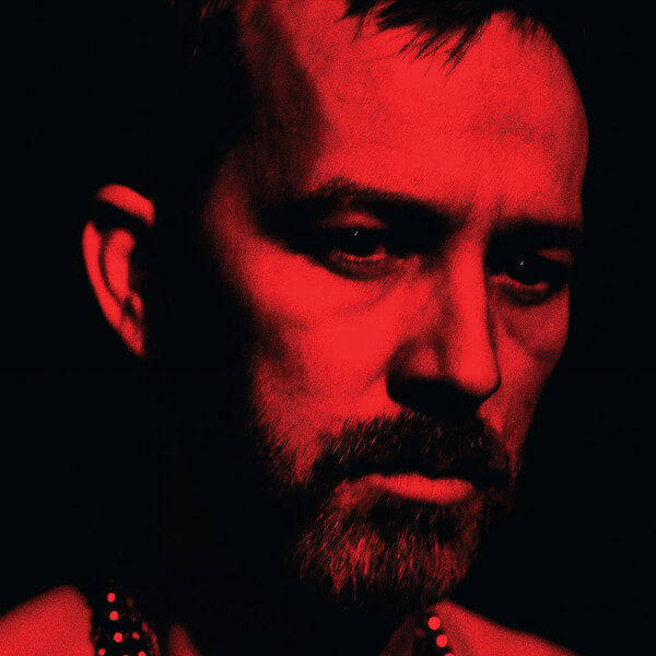 Duquette Johnston - The Social Animals - LP