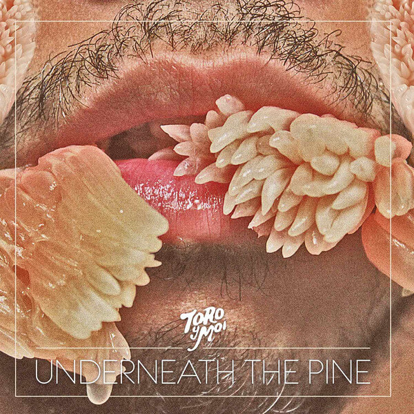 Toro Y Moi - Underneath The Pine' (10th Anniversary) - LP
