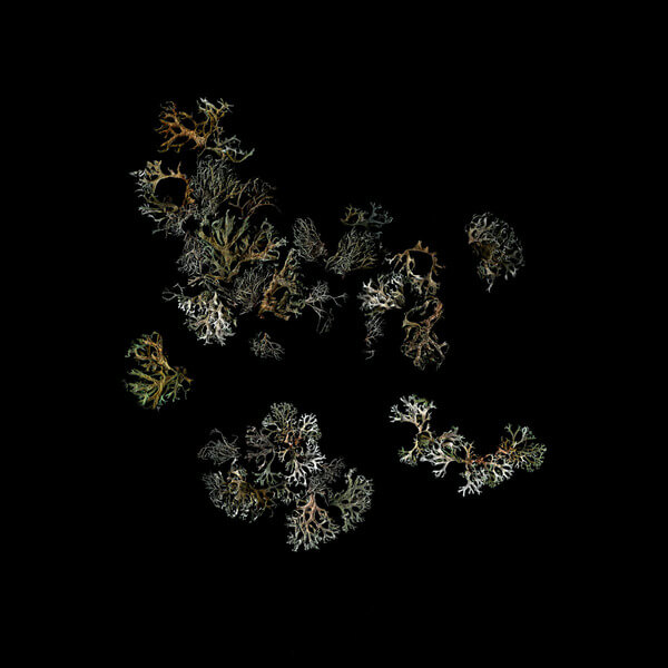 Deathcrash - Return - 2LP