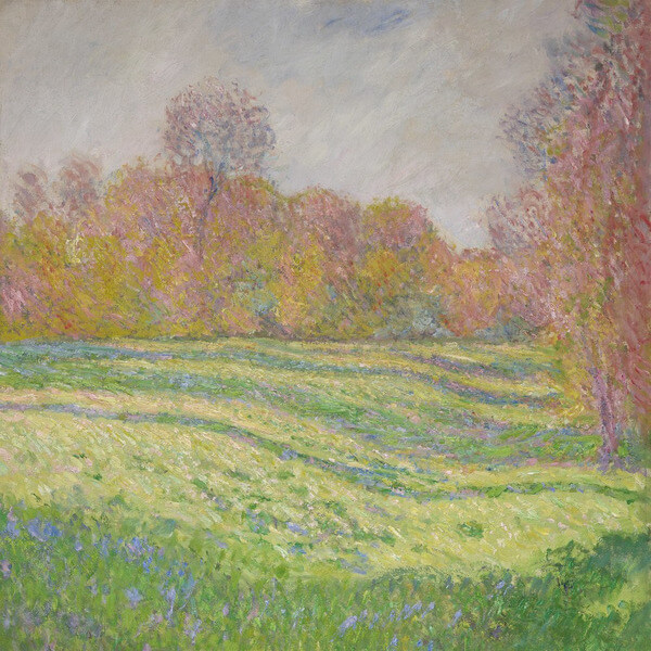 Strawberry Guy - Sun Outside My Window - CD