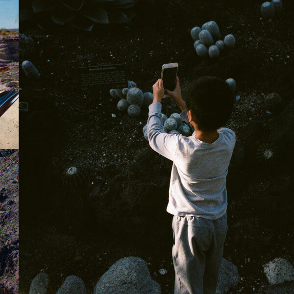 Mega Bog - Life, and Another - LP