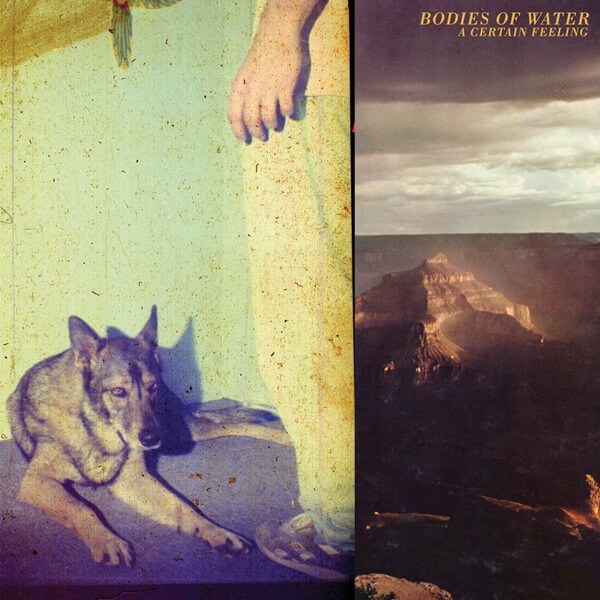 Bodies of Water - A Certain Feeling - LP