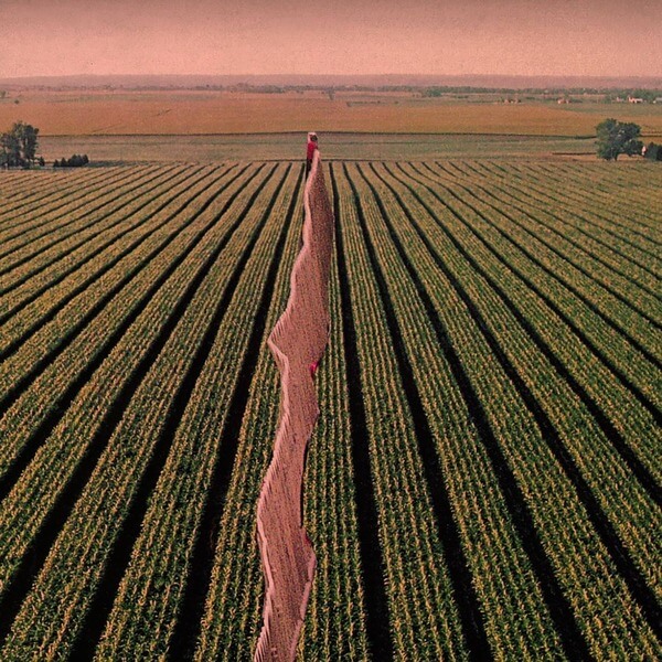 Possible Humans - Everybody Split - LP