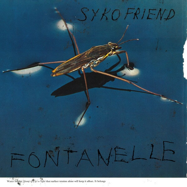 Syko Friend - Fontanelle - LP