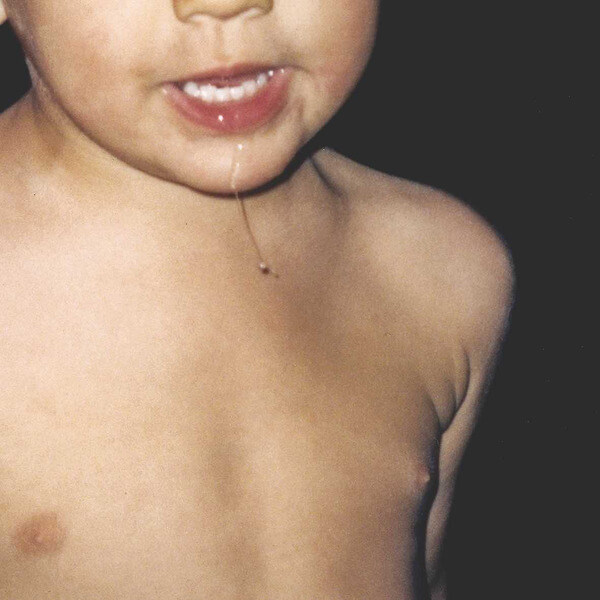 La Paloma - Todavia No - LP