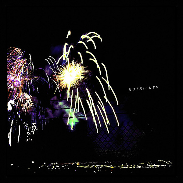 Nutrients - Different Bridges - LP