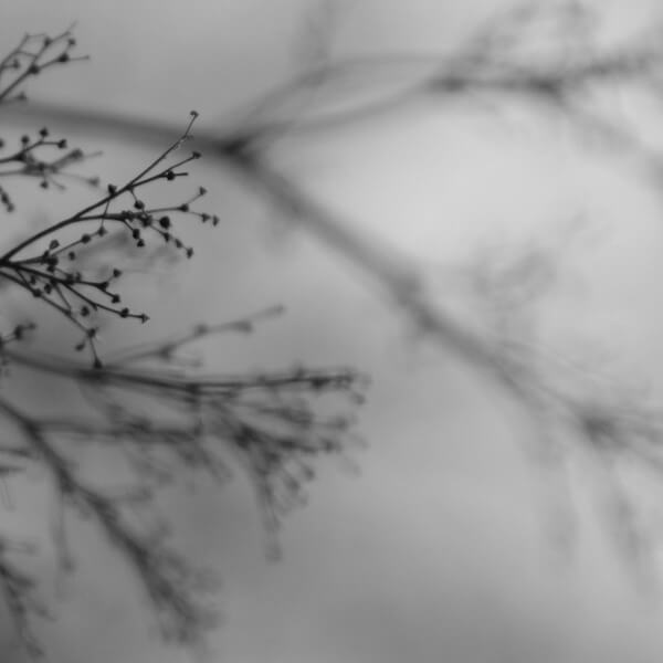 Dakota Suite, Dag Rosenqvist & Emanuele Errante - What Matters Most - LP