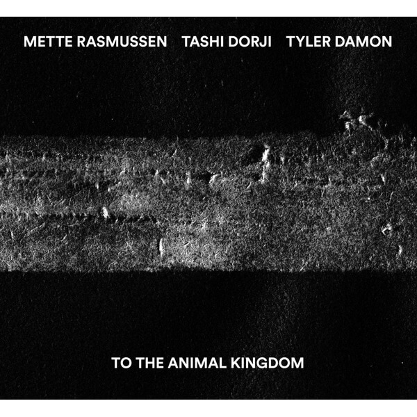 Tashi Dorji And Mette Rasmusse - To The Animal Kingdom - CD