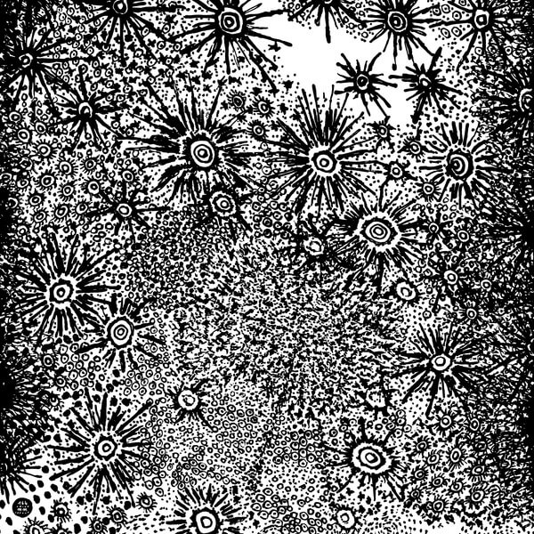 Spirit Fest - Anohito - LP