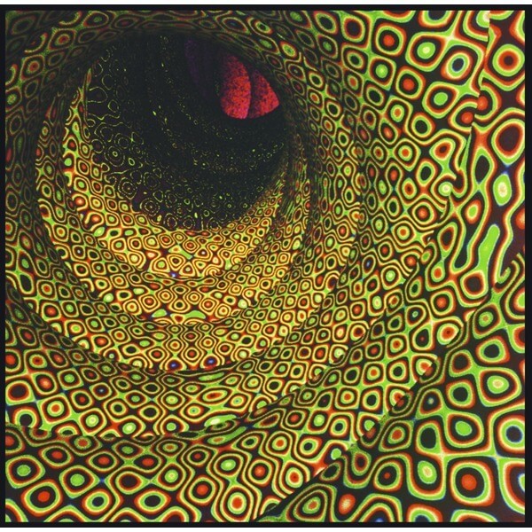 Easy - Magic Seed - LP