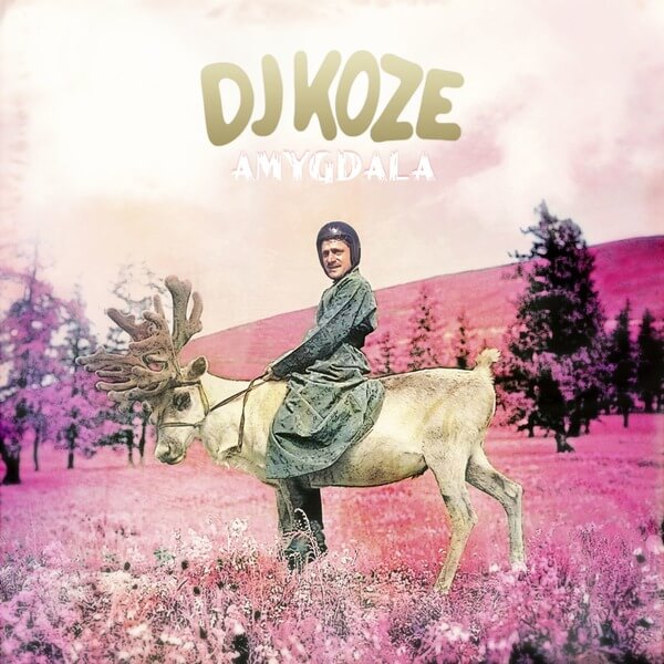 Dj Koze - Amygdala - 2LP
