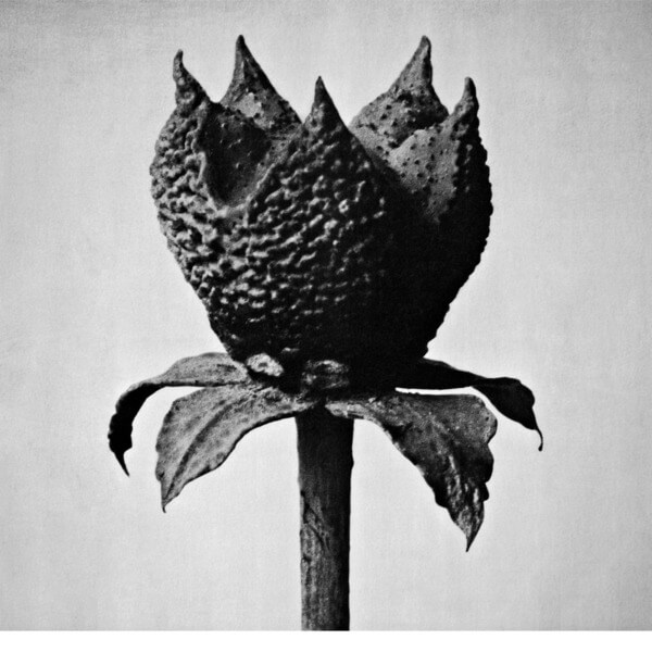 Masayoshi Fujita - Book Of Life - LP