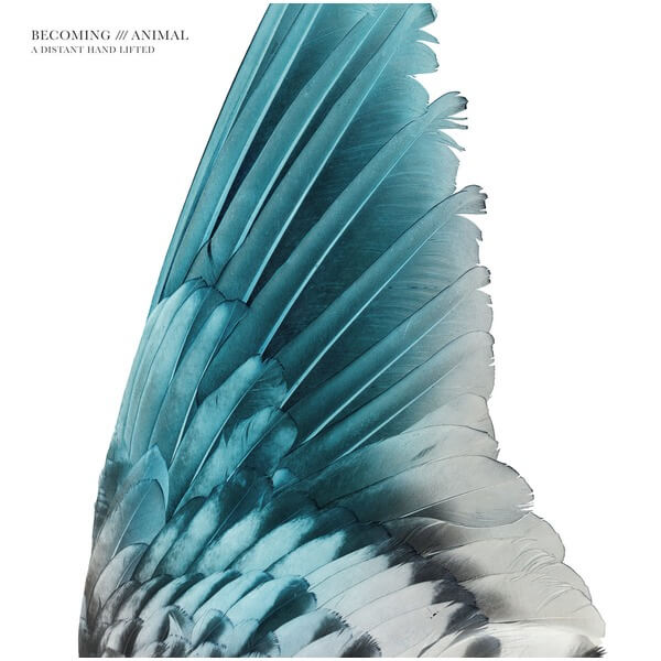 Becoming Animal - A Distant Hand Lifted - LP