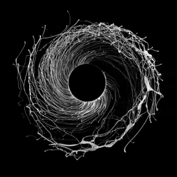 Dawn Of Midi - Dysnomia - LP