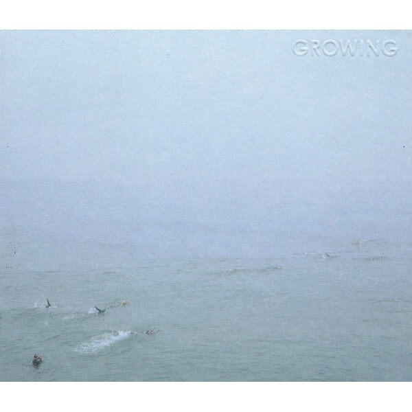 Growing - The Sky's Run Into The Sea - CD