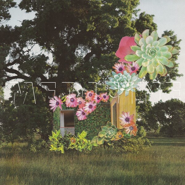 Medicine - Home Everywhere - LP