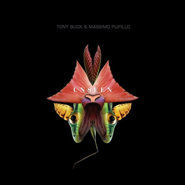 Tony Buck & Massimo Pupillo - Unseen - CD