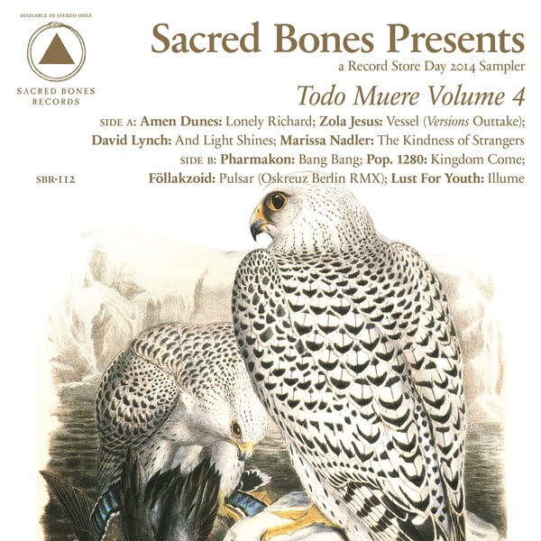 VA - Todo Muere Vol. 4 - LP