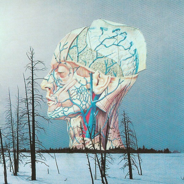 Low - Songs For A Dead Pilot - LP