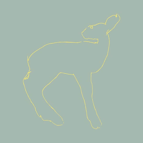 Songs: Ohia - Hecla & Griper (Reissue) - LP