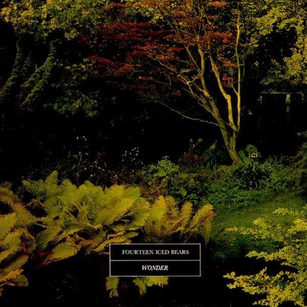 14 Iced Bears - Wonder - 2LP