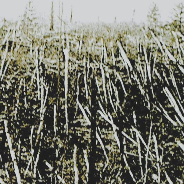 Próchno - Próchno - CD