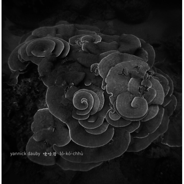 Yannick Dauby - Penghu Experimental Sound Studio Vol.2 - LP