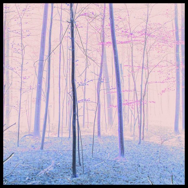 Express Rising - Fixed Rope II - CD