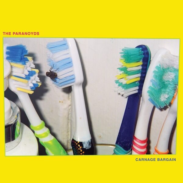 The Paranoyds - Carnage Bargain - LP