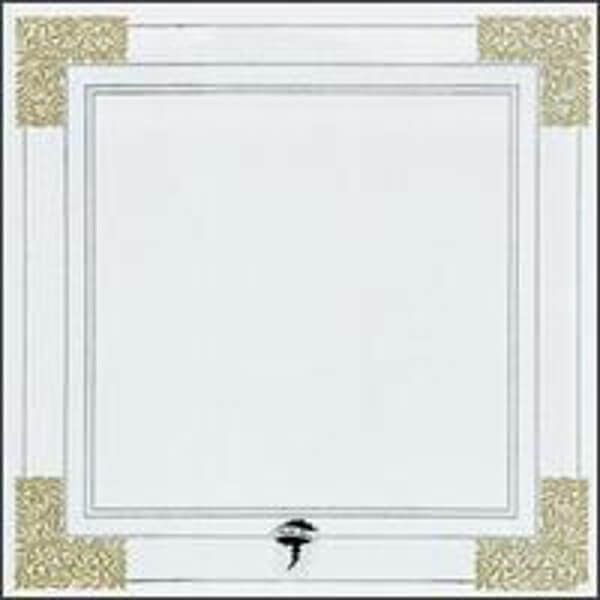 Smog - Wild Love - LP