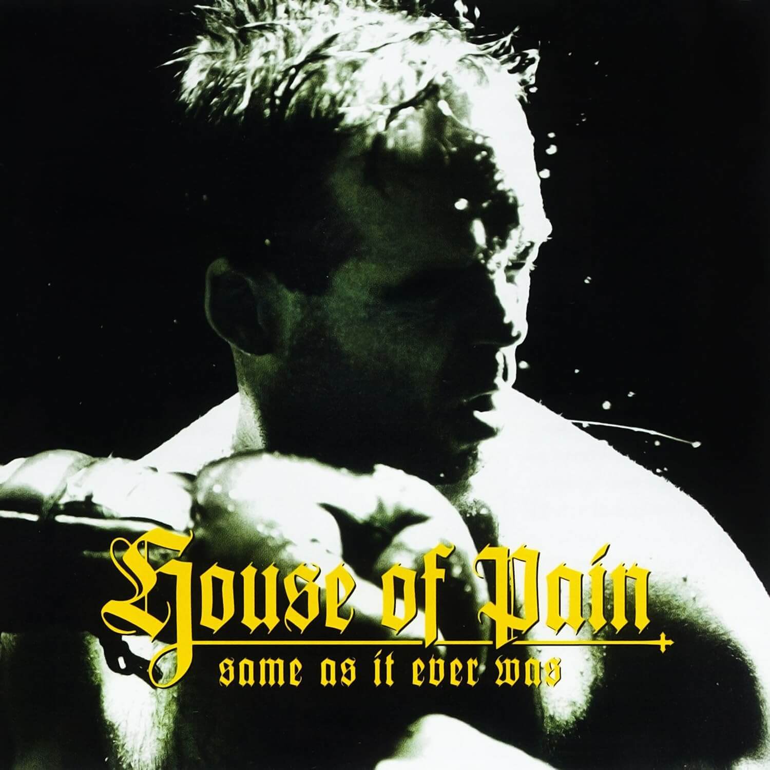 House Of Pain - Same As It Ever Was - Vinyl LP