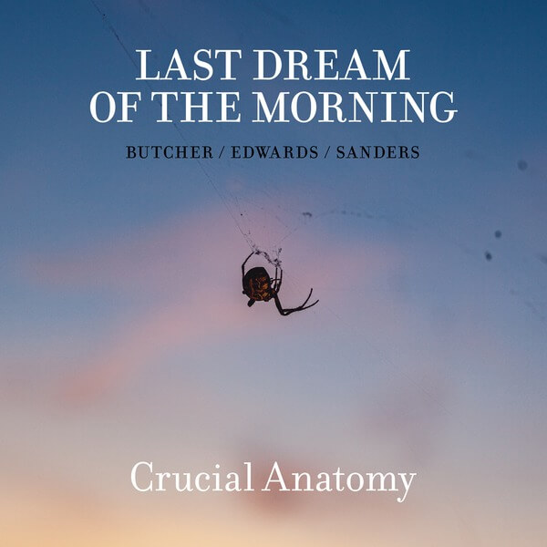 Last Dream Of The Morning - Crucial Anatomy - CD